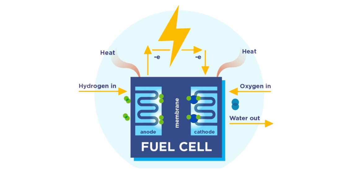 How Do Hydrogen Fuel Cells Work?